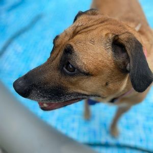 Meet your Posher, Robin